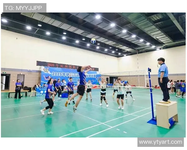 杭州排球队意识排名创新高展现团队实力与战术智慧