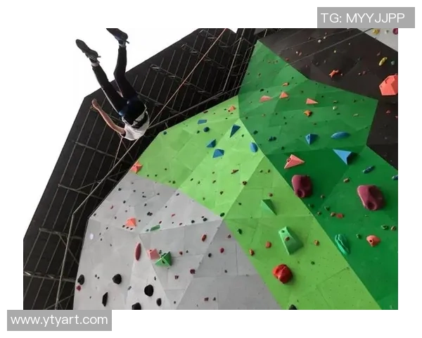 专业解读：南京攀岩队的防反打法