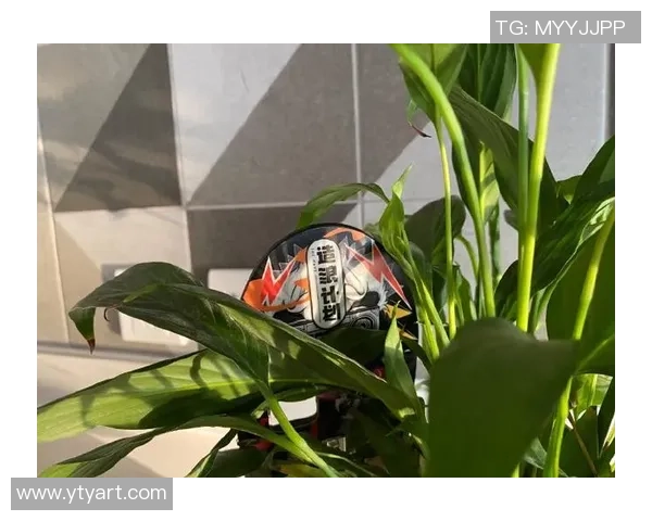 赛后复盘：重庆滑板队 vs 南京滑板队的力量